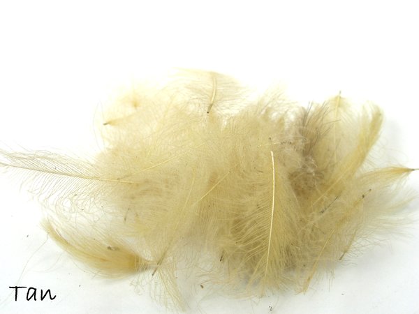 Trouthunter Premium Dyed CDC Feathers (Small & Large Bags)